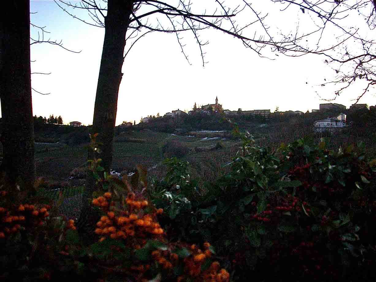 Castel Rocchero, vista da lontano