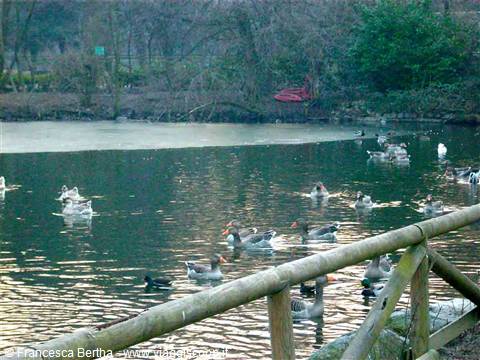Il Parco di Legnano