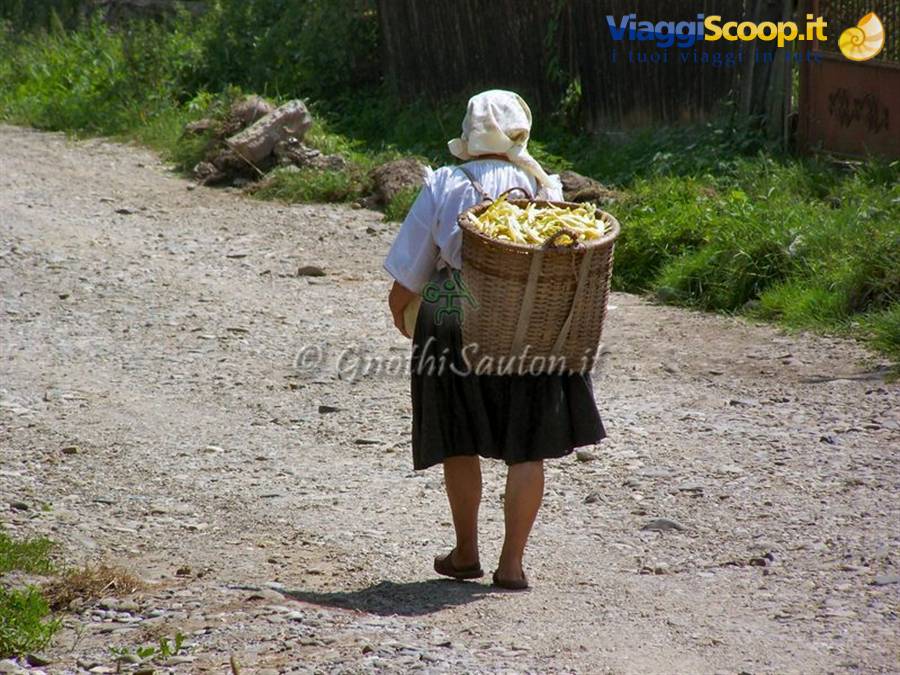 Budesti, ritorno dai campi