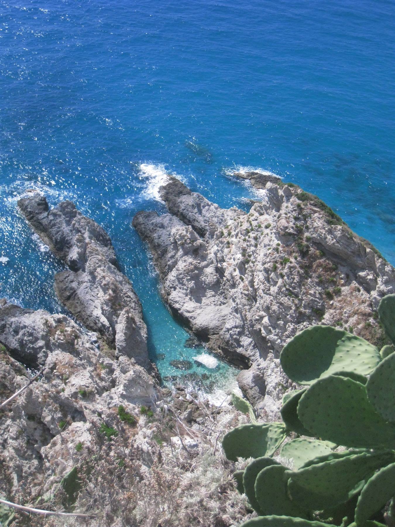 la lingua di mare...