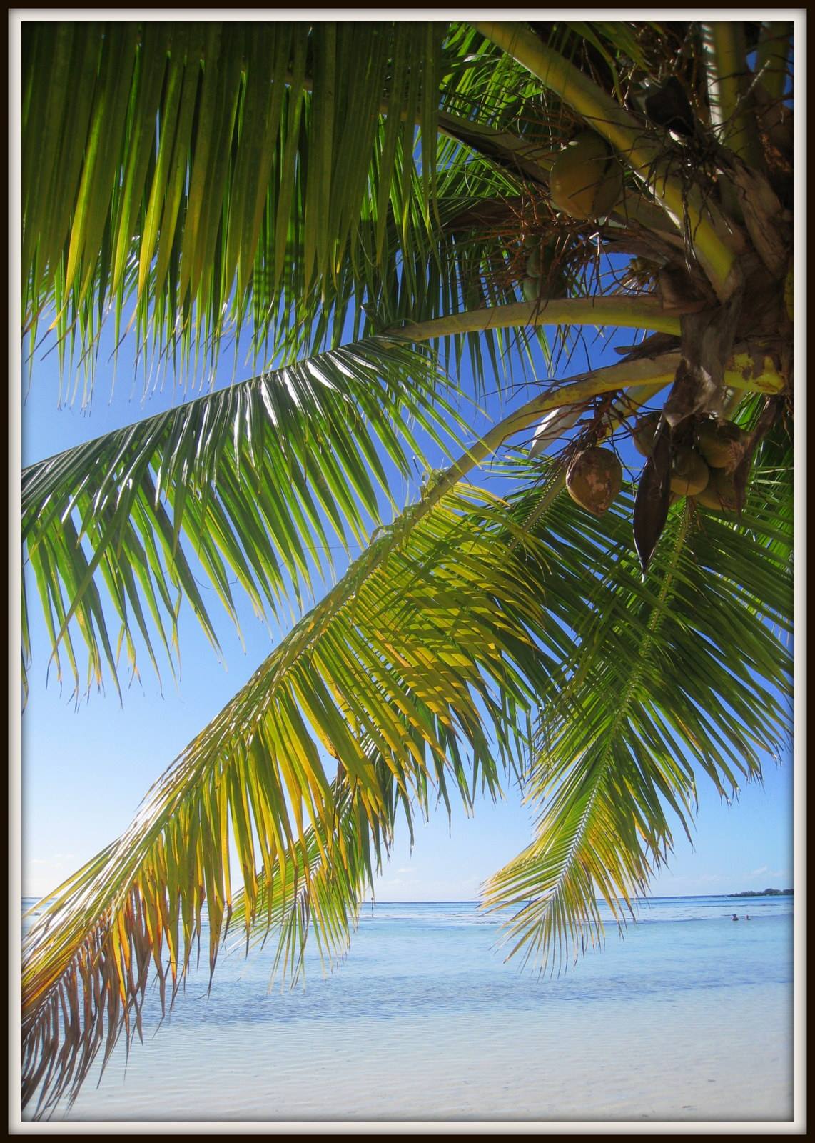 Foto di viaggio in POLINESIA FRANCESE