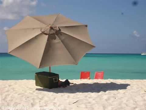 2° cartolina... notare il nostro frigo bar!!