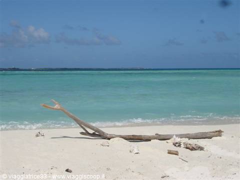 Cayo Muerto