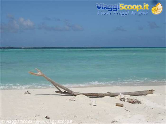 Cayo Muerto