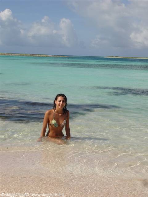 che paradiso.. Noronquises