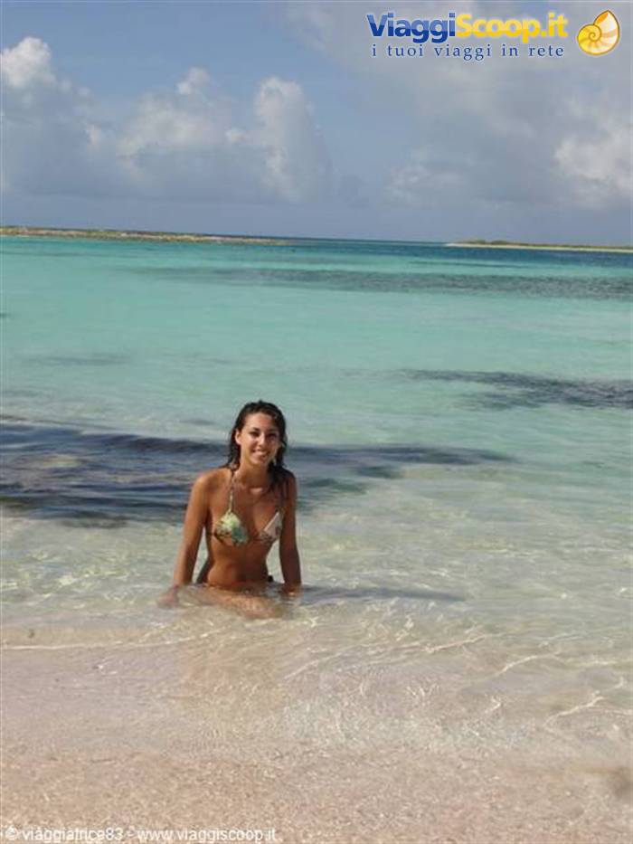che paradiso.. Noronquises