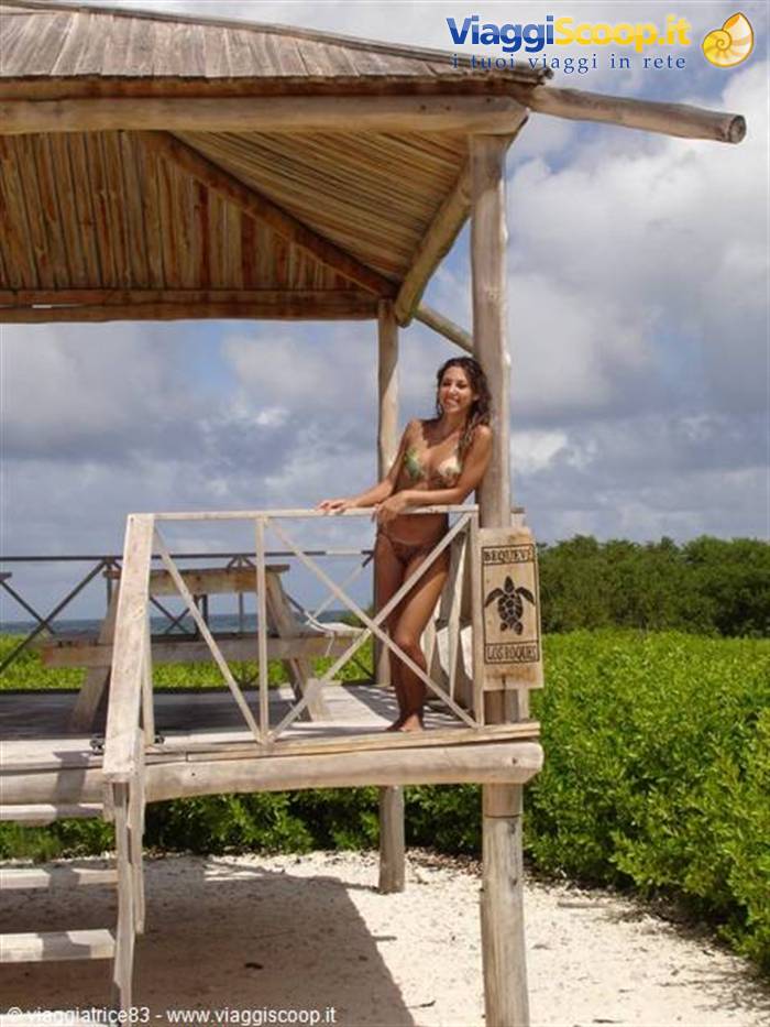 Noronquises-