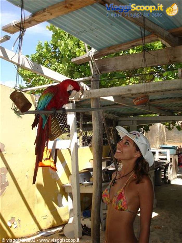 Foto di viaggio in VENEZUELA