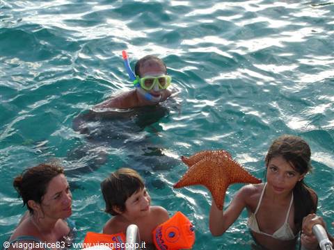 che spettarolo... la stella marina.. con i bimbi..