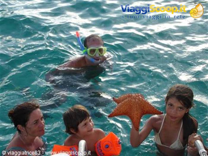 che spettarolo... la stella marina.. con i bimbi..