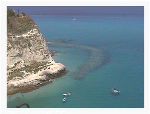 Tropea