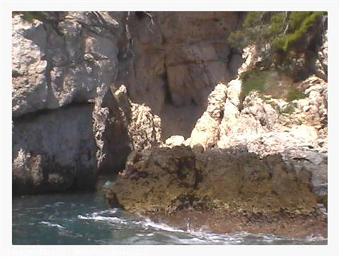 isole tremiti