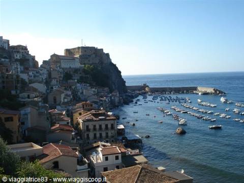 Scilla