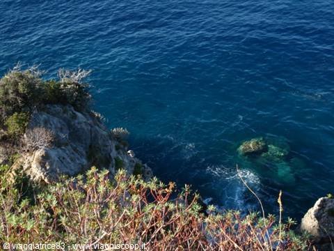 Mare blu intenso di Scilla