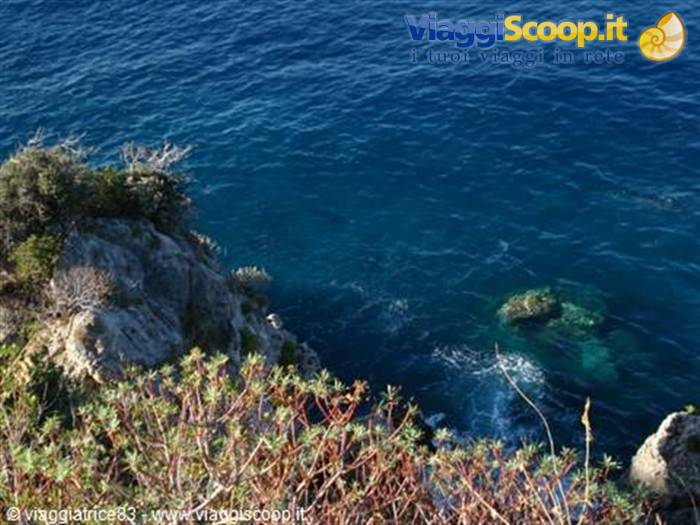 Mare blu intenso di Scilla