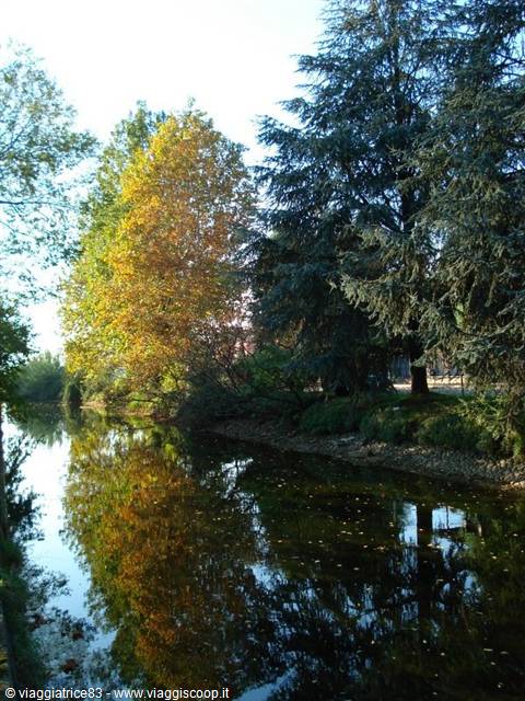 riflessi di luce