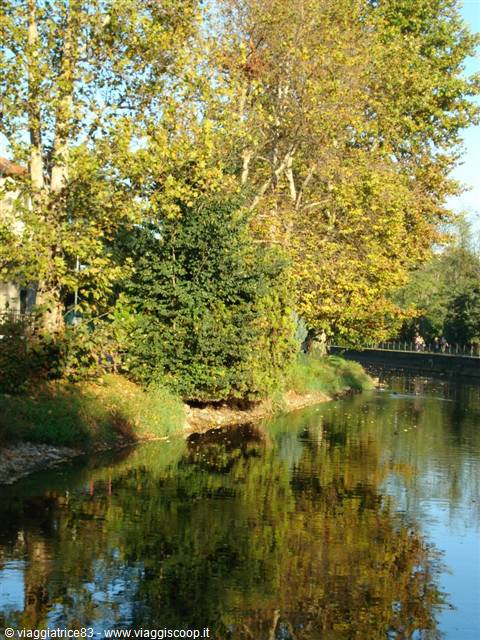 Riflessi