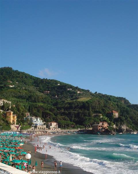Levanto