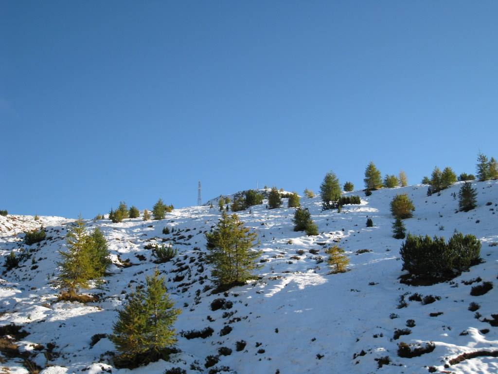 Foto di viaggio in ITALIA