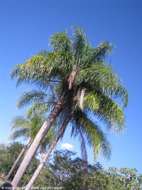 che cielo Azzurro!!