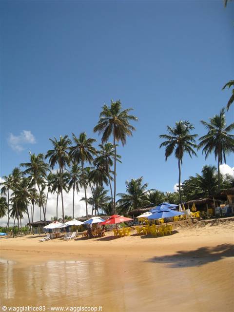 Guarajuba Praia do Carlinhos