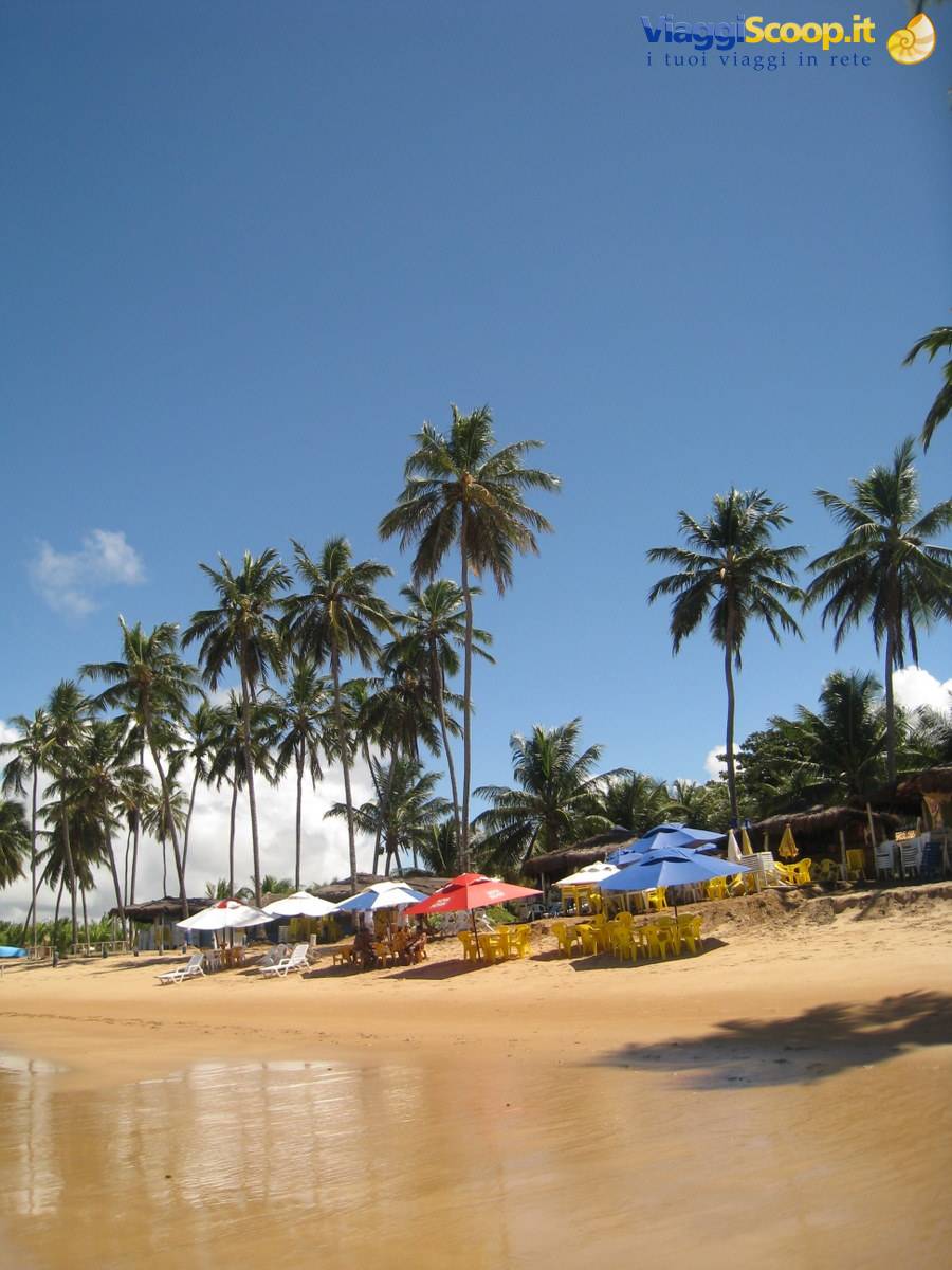 Guarajuba Praia do Carlinhos
