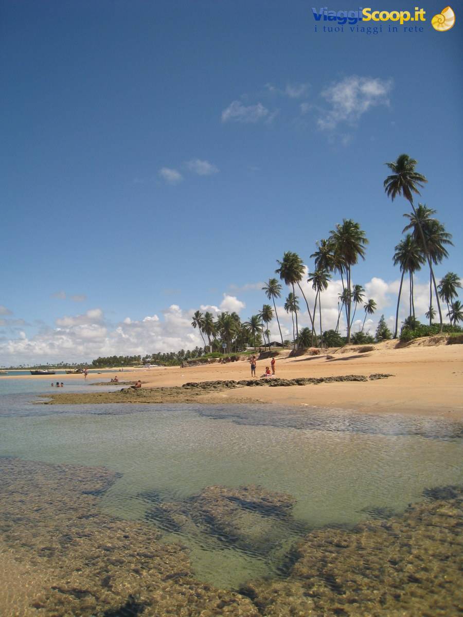 Guarajuba Praia do Carlinhos