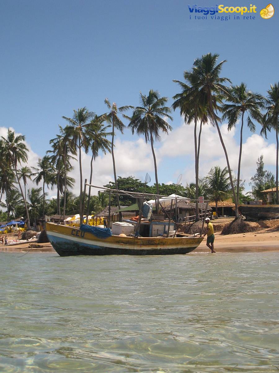 Guarajuba Praia do Carlinhos