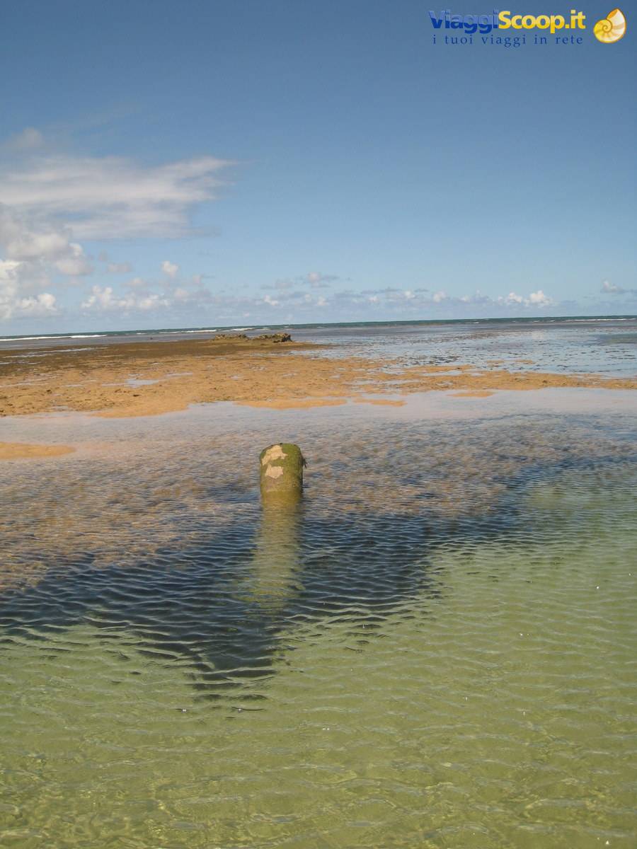 Guarajuba Praia do Carlinhos