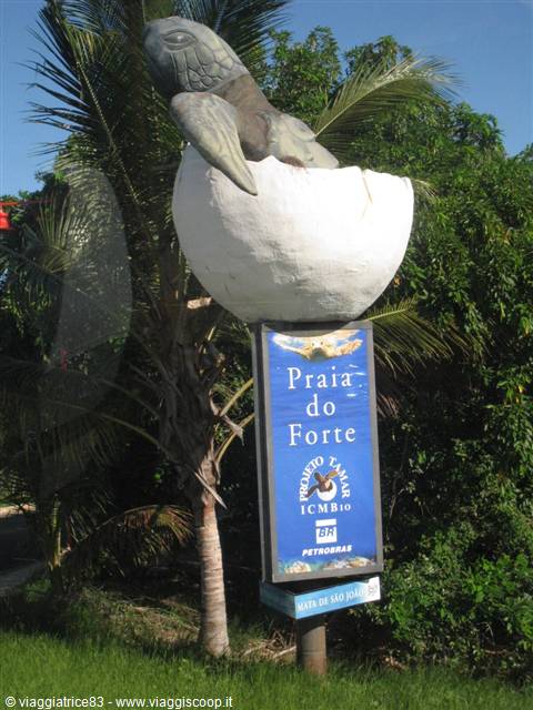 Praia do forte