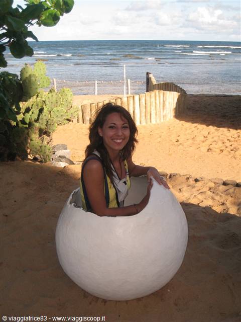 piccola tartaruga.. Selene
