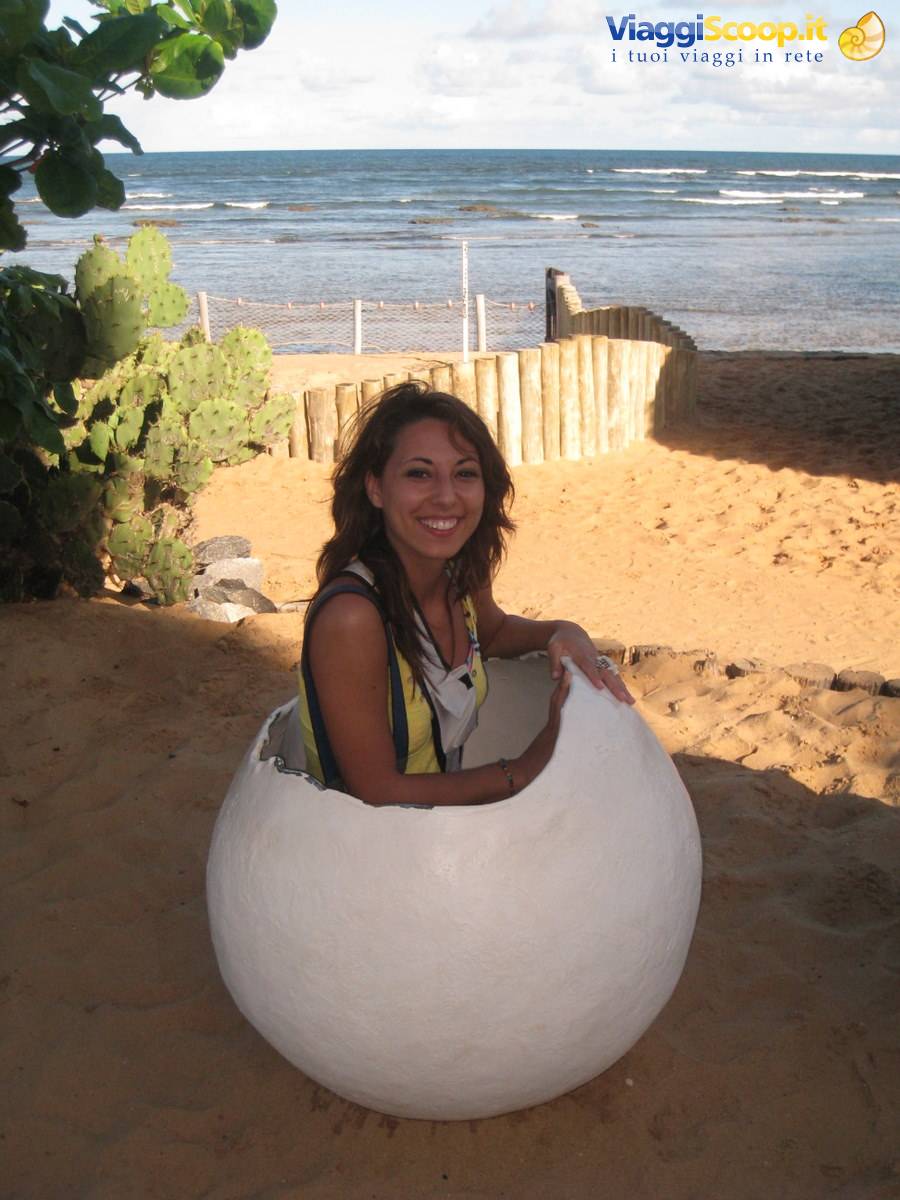 piccola tartaruga.. Selene