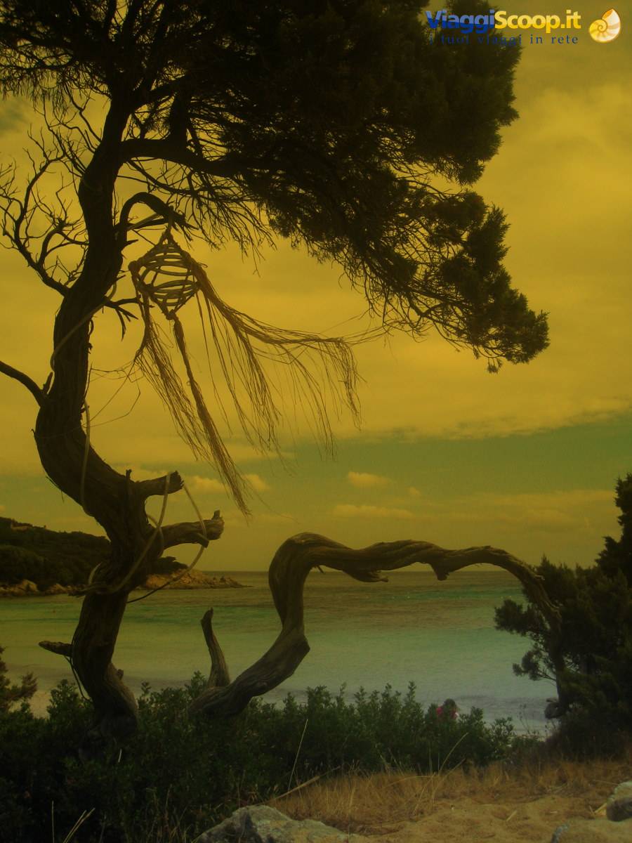 Cala Granu