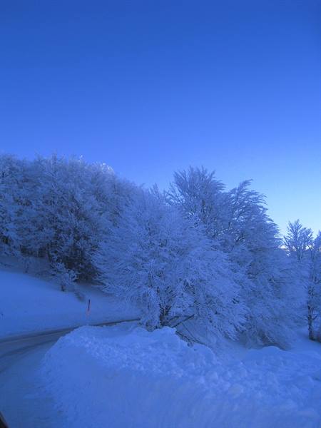 Strade da favola.. Forca Canapine