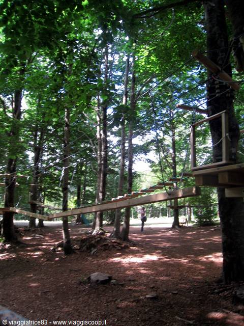 i primi percorsi sugli alberi..