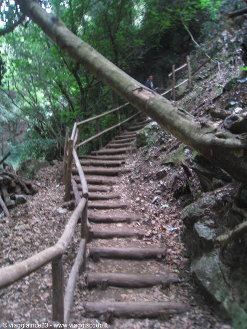 percorso tra il fiume