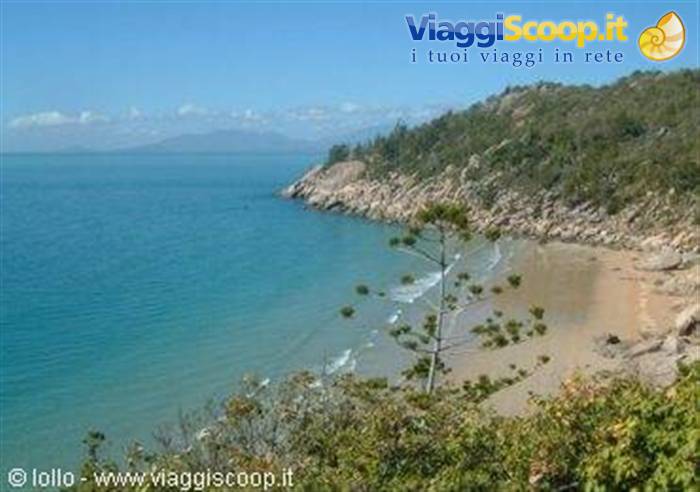 magnetic island 
