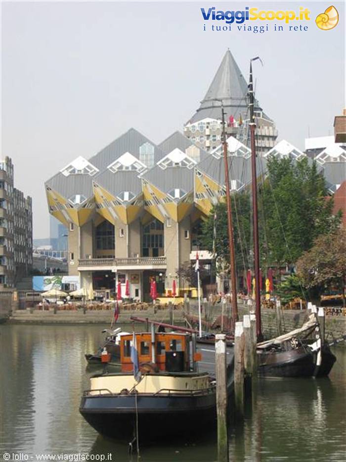 rotterdam case cubo