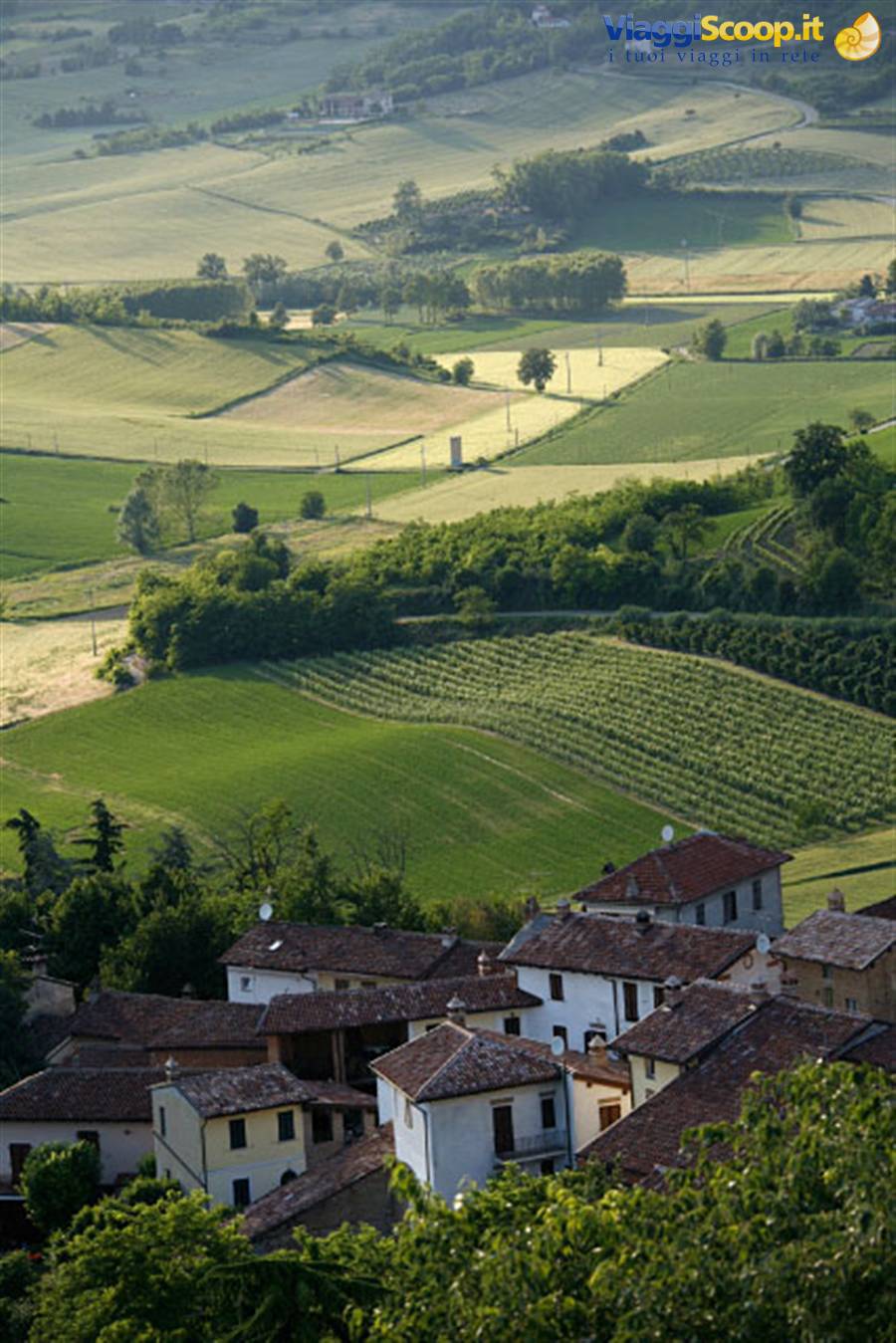 campagna del monferrato