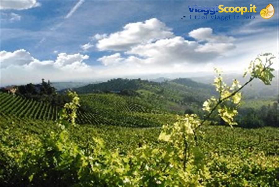 monferrato