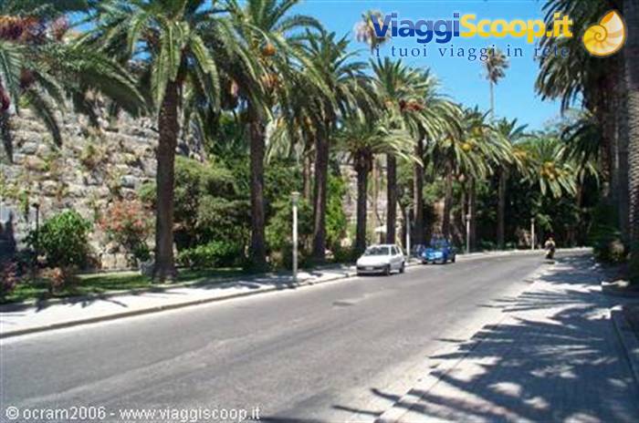 il bellissimo viale delle pallme