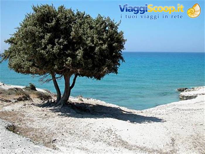 agios thelogos beach