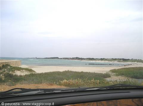 Punta Penna Grossa il mare