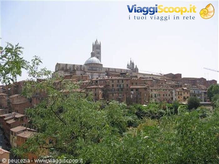 SIENA PANORAMA