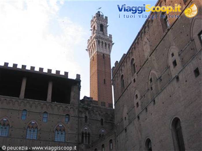 Siena Torre del Mangia