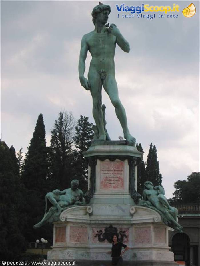 il DAVID P.LR MICHELANGELO