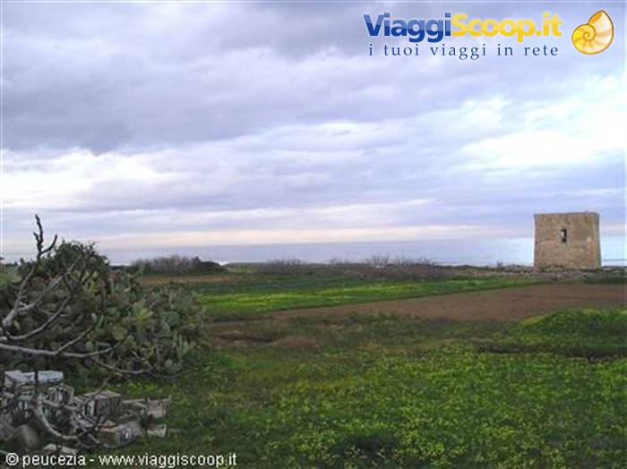 la campagna e il mare nei pressi di san Vito