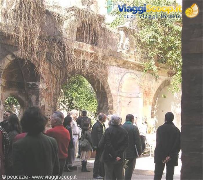 archi e rampicanti , un giardino in città