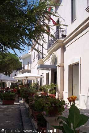 hotel Terminal