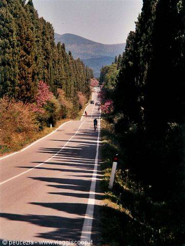lungo la strada